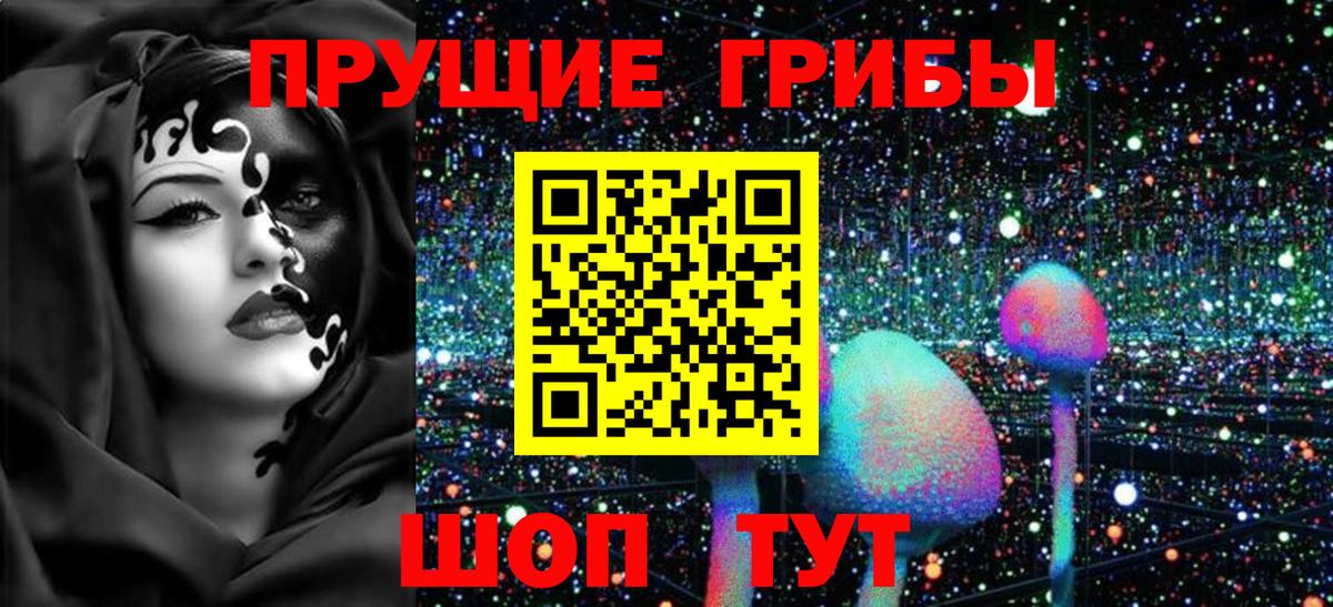 Королёв  Галлюциногенные грибы Magic Shrooms  Псилоцибиновые грибы мицелий  Вход с VPN 
